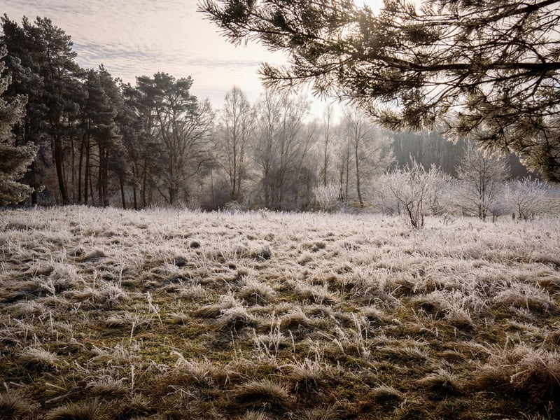 There are plenty of lovely walks in the enormous Galloway Forest Park but one of the nicest during winter starts at Clatteringshaws Visitor Centre. The two hour trail takes in Clatteringshaws Loch, Bruce's Stone (commemorating Robert the Bruce's victory at the Battle of Glen Trool in 1307), winter woodland and the 'Loch View hike' offering spectacular vistas of the surrounding countryside. 