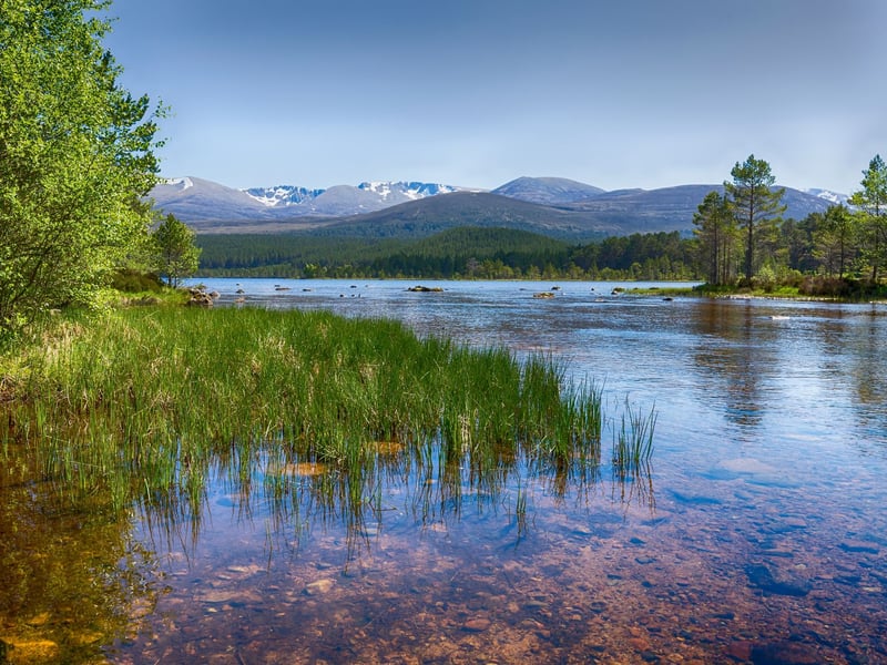 The two hour walk around Loch Morlich is one of the most beautiful - and accessible - in the Cairngorm National Park. The reflection of the Cairngorm Mountains in the Highland waters is only improved by a dusting of snow.