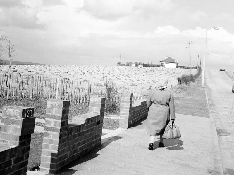 20 acres of land in Barnton auctioned for £100,200 by Scottish Ideal Homesteads Ltd in March 1963.