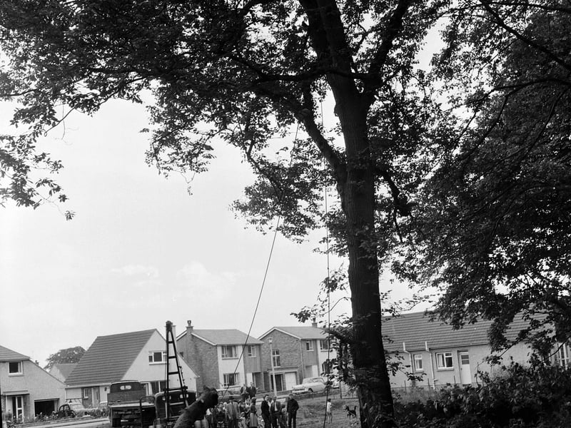 Work being carried out in Barnton Park in August 1964.