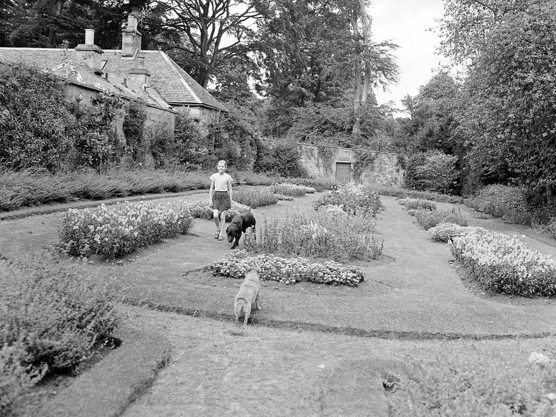 The gardens at Drum House in Gilmerton in August 1959.