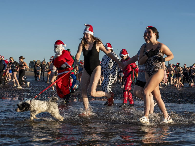 Several doggy companions also took part in the dip 