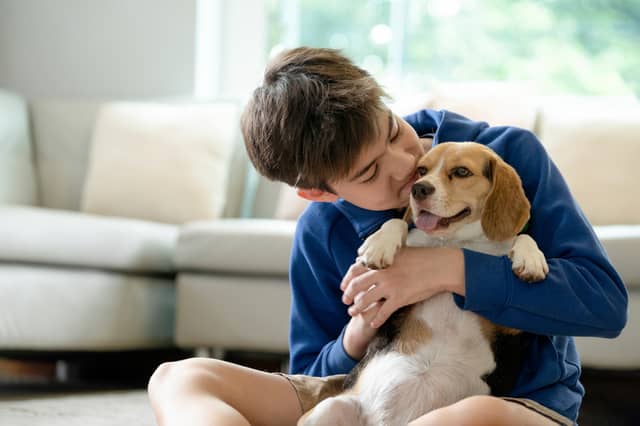 Children and dogs can become fast friends.