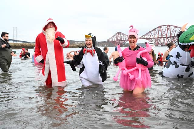Where else would you find Santa, a penguin and a flamingo except at the Loony Dook?!