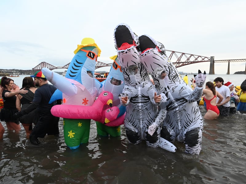 These shark costumes will always be funny - great job folks