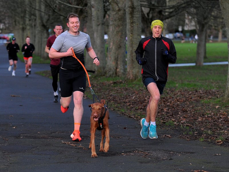 Dogs can get their steps in on the weekly parkrun too.