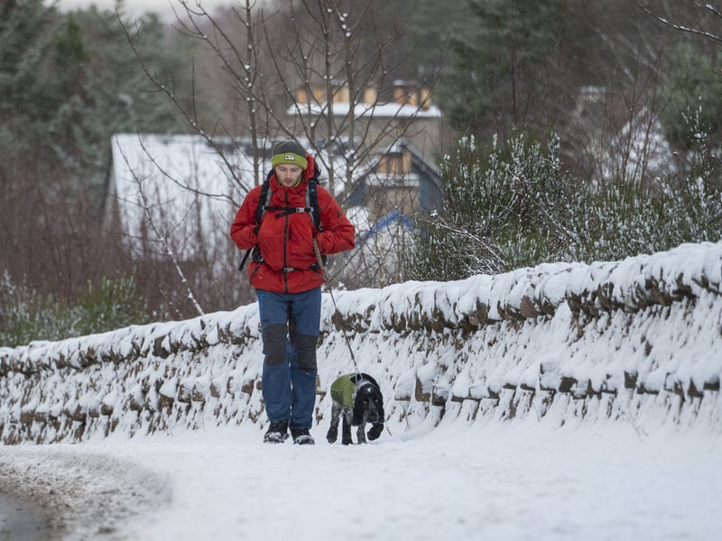 Iwan with his 2 year old show cocker Ralph out braving the cold temperatures.