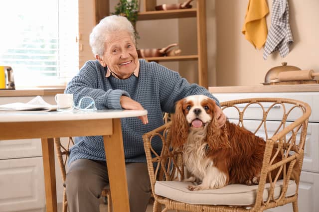 Dogs make great companions for the elderly.
