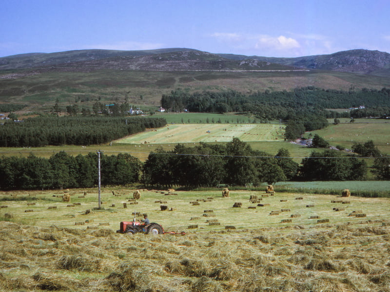 In the Highlands, healthy life expectancy for women is 62 and healthy life expectancy for men is 61