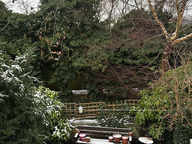 Stop what you are doing. Snow has finally reached Oakwood.