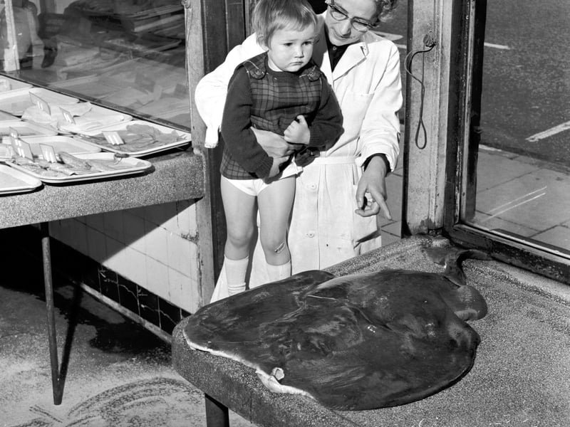 Elizabeth Methven lifts up a young customer to show her a torpedo fish which was landed at Granton by the Kelso Paton in September 1965.