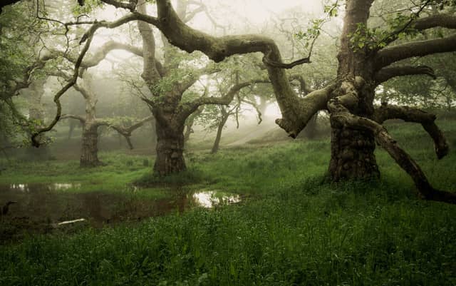 Three Giants' by Richard Murray, winner in the main category in the South Downs National Park photo competition.