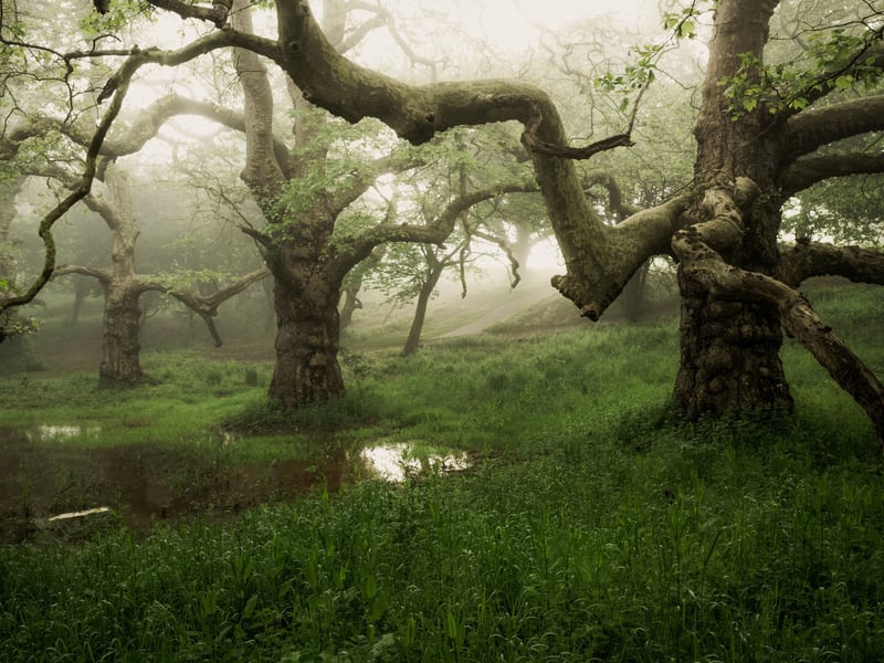 Three Giants' by Richard Murray, winner in the main category in the South Downs National Park photo competition.