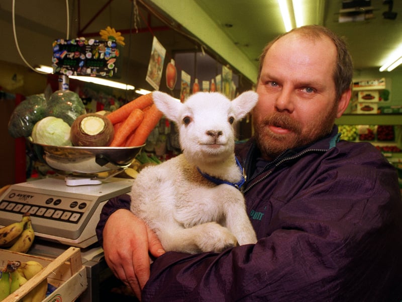 Meet Zak, a lamb who captured the hearts of Leeds shoppers. He is pictured in the arms of greengrocer Geoff Berry of Morley Markets.