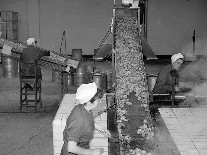 Crisps slide down a shute at the Golden Wonder Crisps Company in Sighthill in May 1958.