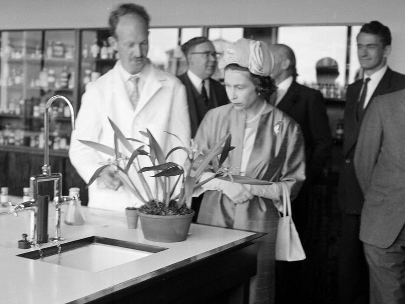 The Queen visits the Royal Botanic Gardens in June 1964.