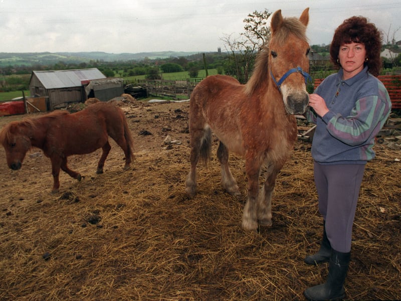Angela Ward with two of the ponies at her animal sanctuary in the town which was facing an uncertain future. Pictured in May 1996.