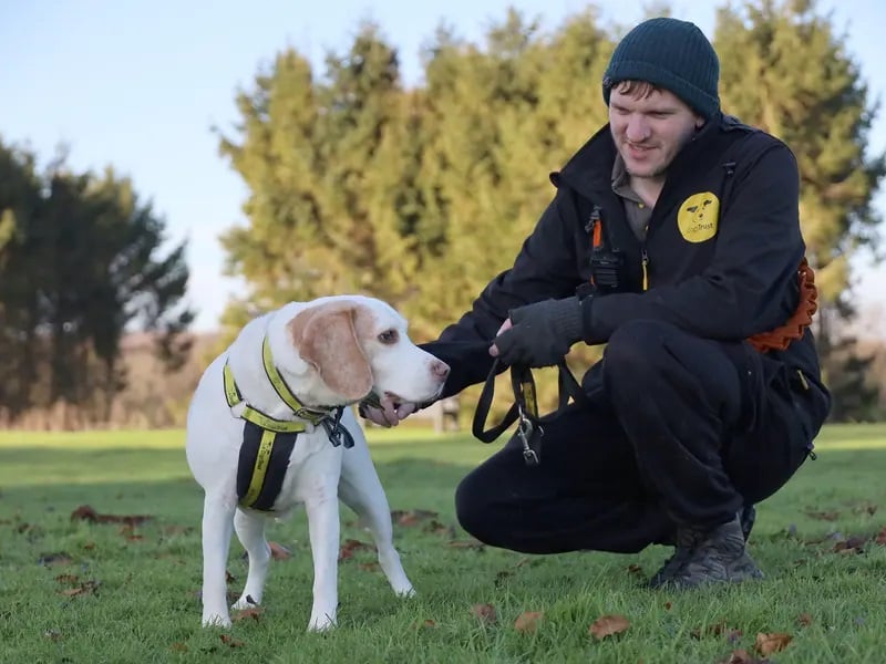 This eight-year-old pooch is looking for a new home where he can find his perfect routine, going for sniffy walks, having a
good old play and snuggling up for a cuddle. Moose loves to make friends, but can be a touch picky about what pooches to befriend, so would like to be the only pet in the home. 