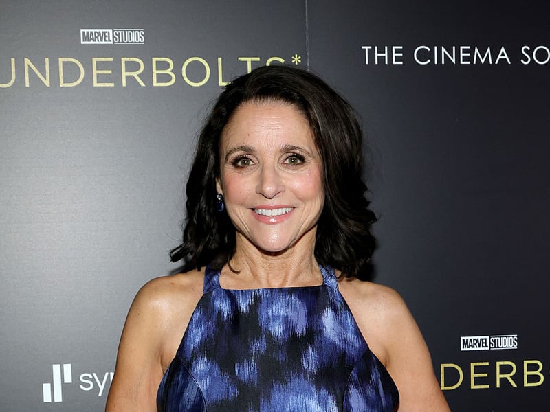 The hugely-popular sitcom 'Seinfeld' made everybody involved in it fabulously wealthy, including Julia Louis-Dreyfus who played Elaine. She went on to star in 'The New Adventures of Old Christine' and 'Veep'. She's won more Primetime Emmy Awards and Screen Actors Guild Awards than any other performer - and earned around $250 million. She's also now part of the Marvel Cinematic Universe, having starred in 'Thunderbolts'. That shouldn't hurt her bank balance either.
