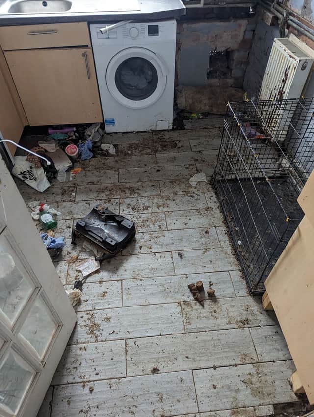 Members of the public told the RSPCA they heard the sounds of screaming and yelping from the flat on the night of May 18, thought to be the sound of Knox biting Sirius 