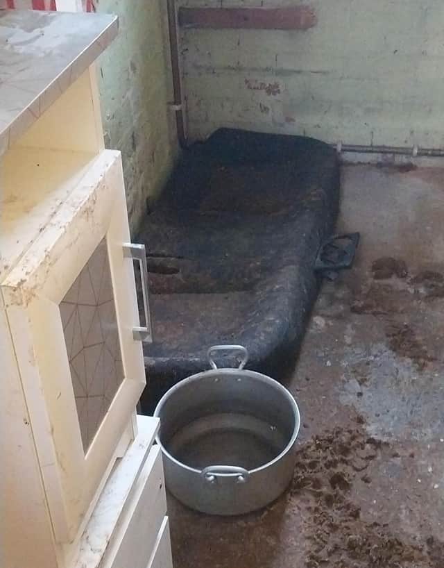The two dogs had drunk every drop of water in the the filthy flat, including all the water in the toilet bowl.