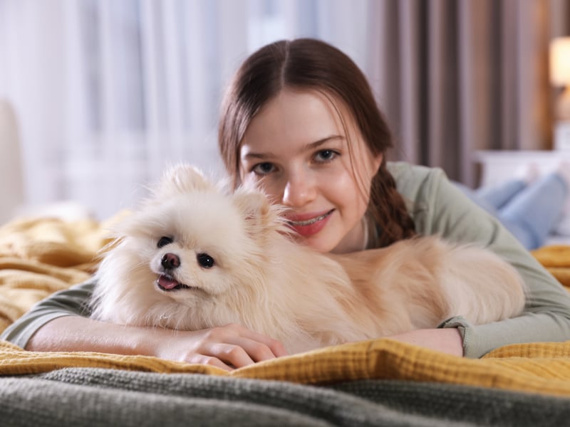 The Pomeranian is another dog on this list that can enjoy the occasional bark at night. If you can keep them quiet though, these tiny dogs are great company - and take up very little space.