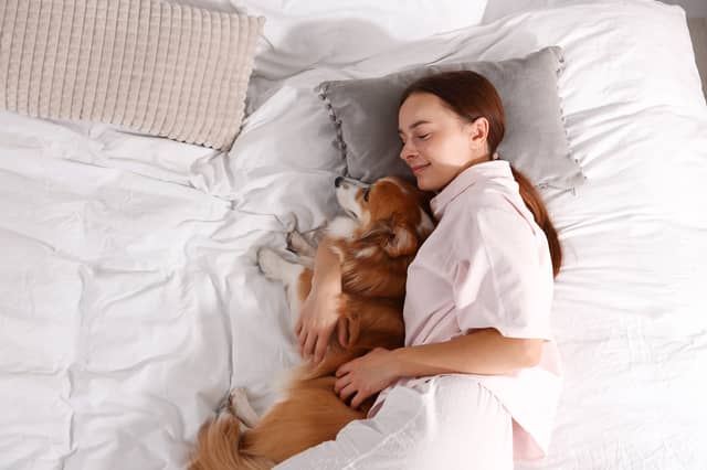 Some dog breeds can be a dream to sleep with.