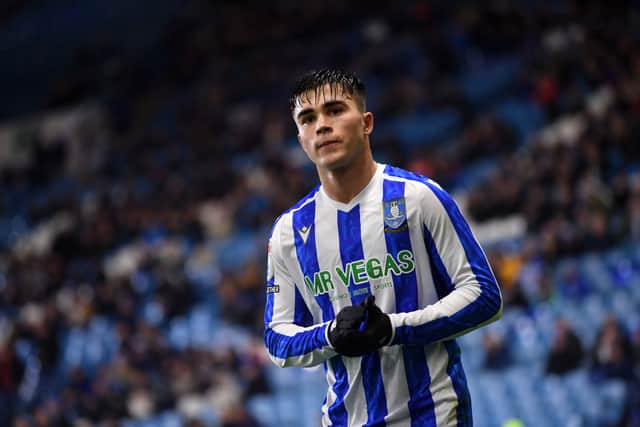 Harry Amass was a standout during his loan spell at Sheffield Wednesday.
