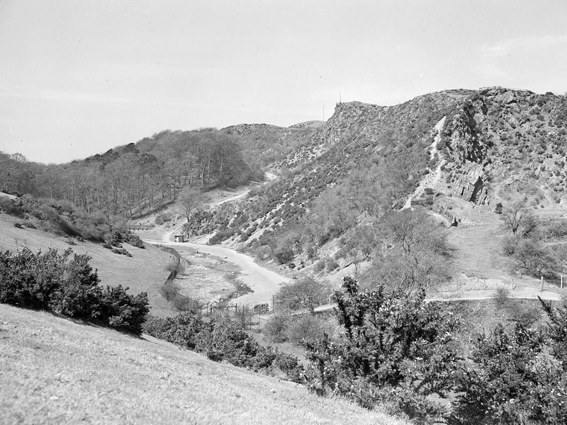 The Braid Burn flowing through Blackford Glen in April 1956.