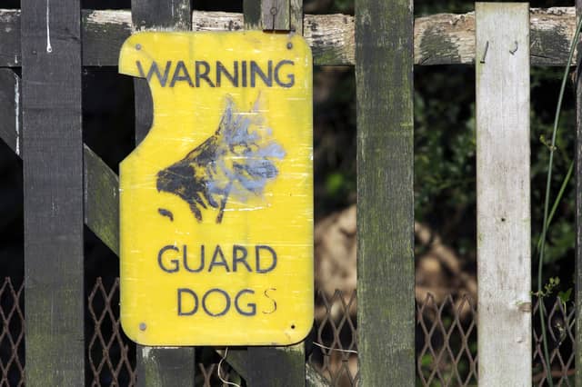 Some breeds of pup make better guard dogs than others.