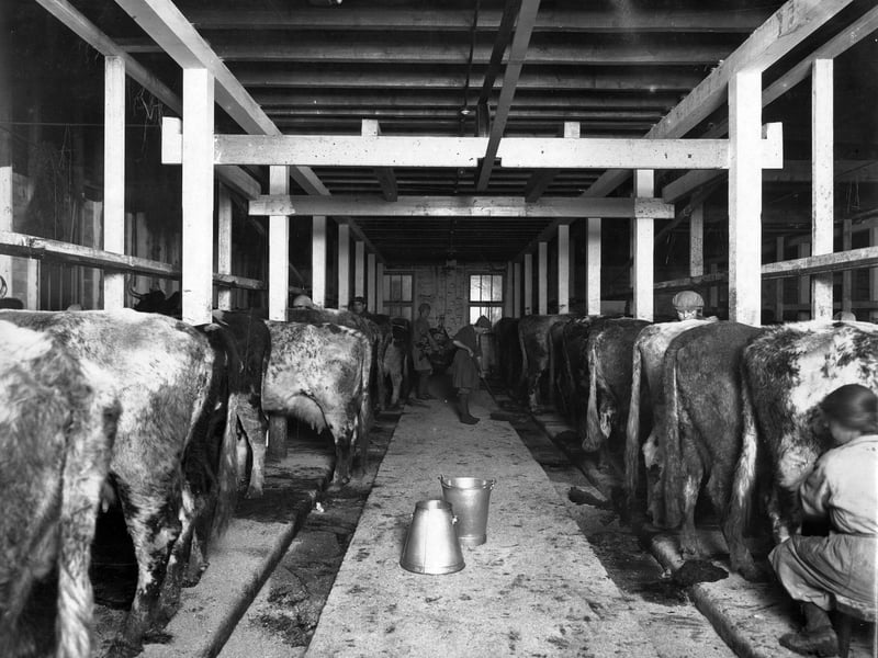 The extraordinary story of the Barnbow Lasses