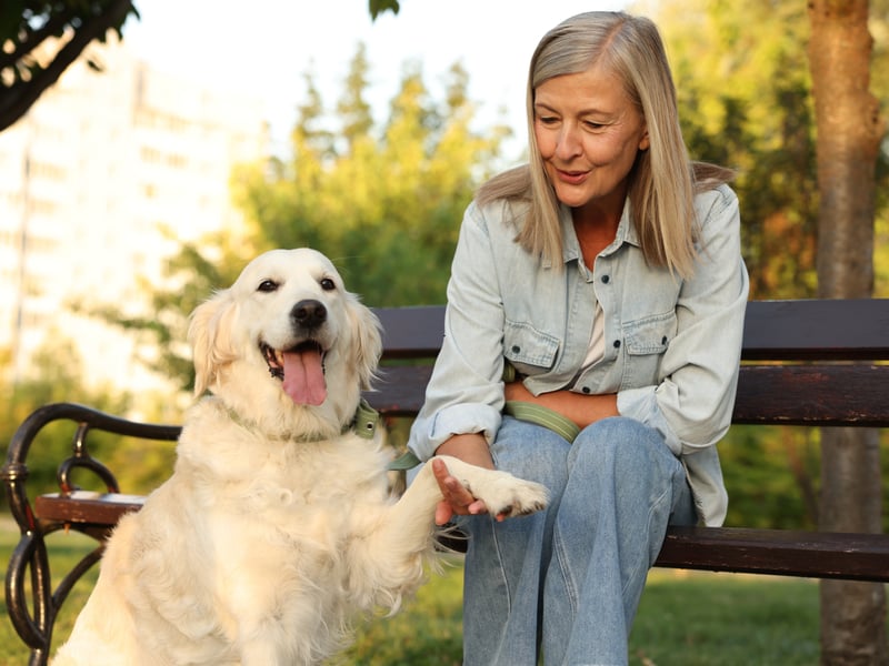 What is true of the Labrador Retriever is usually true of their close cousin the Golden Retriever. That's certainly the case when it comes to their empathic nature. One of the most naturally happy breeds, they just want you to be as happy as they are. 