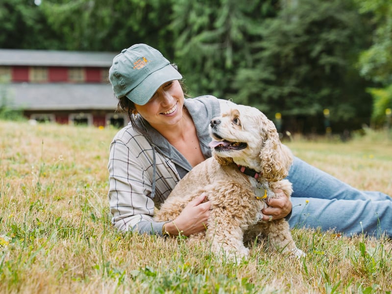 Particularly suitable to help youngsters suffering from anxiety, the Cocker Spaniel is a sweet and consistant companion whose confidence is infectious.