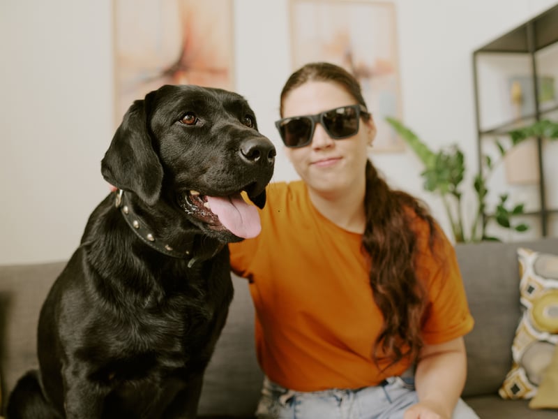 Dogs don't come much more empathic than the Labrador Retriever - both the UK's and the world's most popular dog. These amazing animals have an innate skill of knowing how you are feeling - if you're upset or stressed they'll more often than not come and give you a cuddle. And Labrador owners know how a cuddle with their pet makes everything feel that little bit better. 
