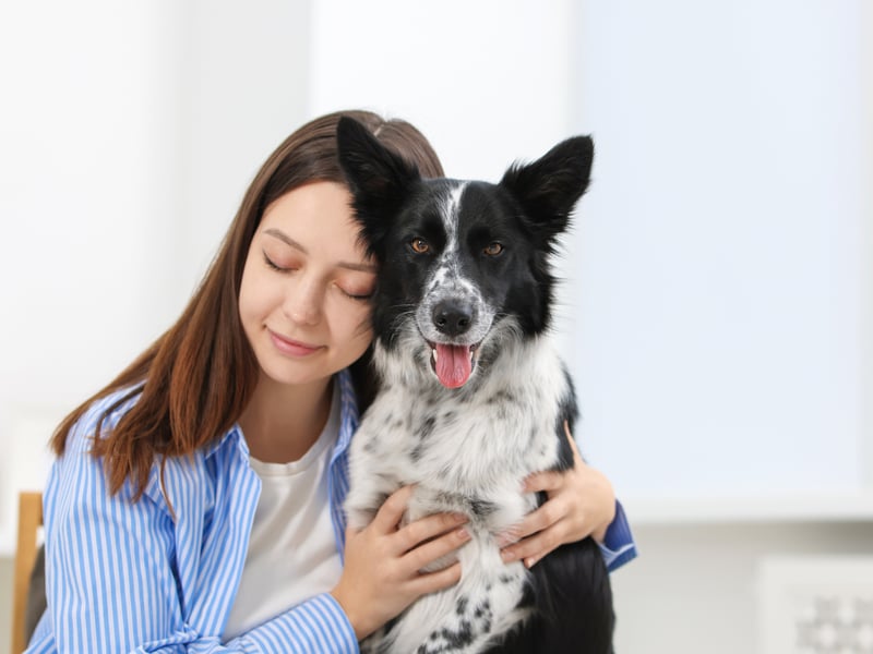 Officially the most intelligent dog breed (there's scientific research!), the Border Collie is bred to respond to the tiniest of cues when herding sheep. The same sensitivity means they tend to know when something is wrong with their families. If something is up they will quickly offer comfort in the form of affection.