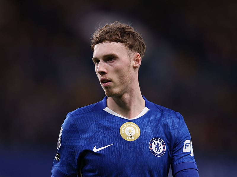 Palmer could be the best option to replace Fernandes if he is sold for a huge fee in the summer.