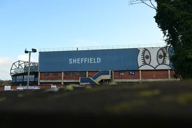 Sheffield Wednesday are rooted to the bottom of the Championship table.