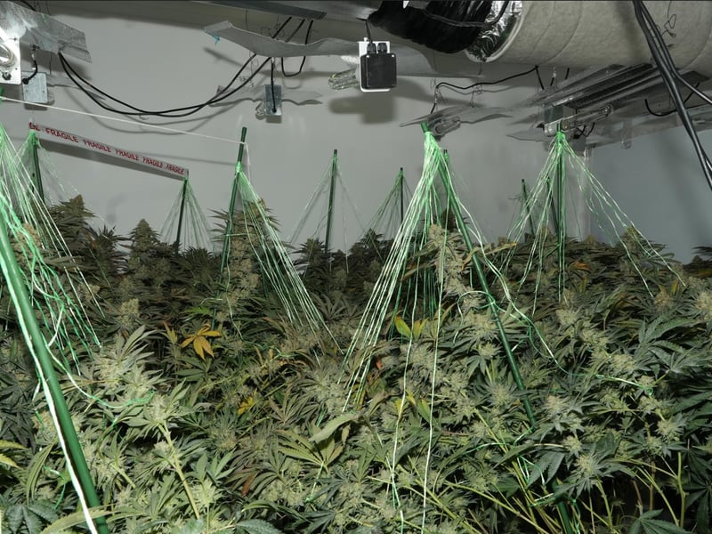 In total, the highest value of the drugs found in North End Avenue and Manners Road was estimated to be £75,600.