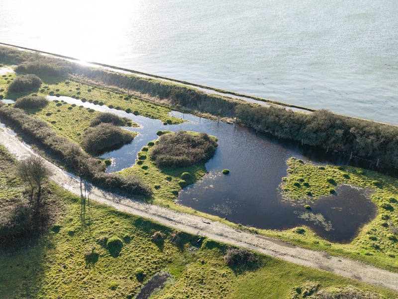Farlington Marshes Picture: Marcin Jedrysiak