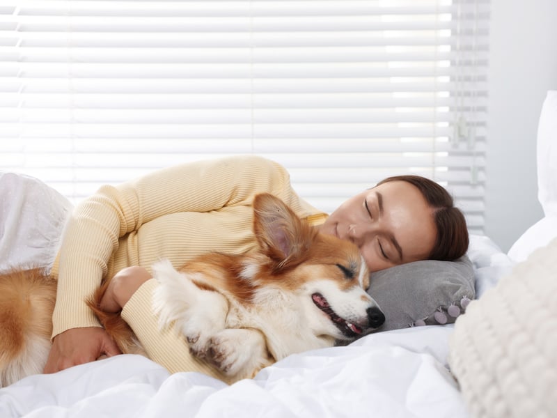 Dogs are most vulnerable when sleeping, so choosing to rest near you shows they feel completely safe and comfortable. Some dogs may snuggle on your lap, while others prefer sleeping just outside your reach. Either way, this behaviour is a testament to their love and trust.