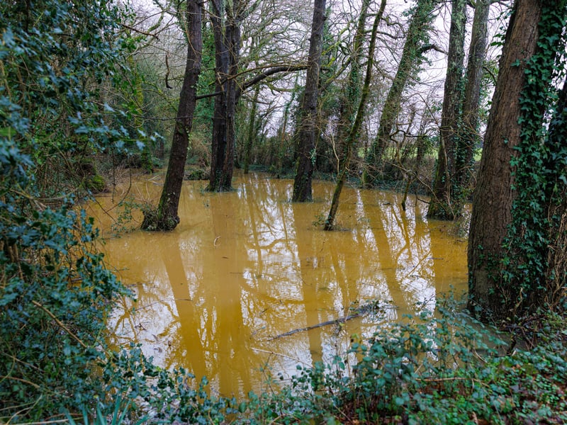 Flooding off Meon Road in Meon on Saturday, February 7.