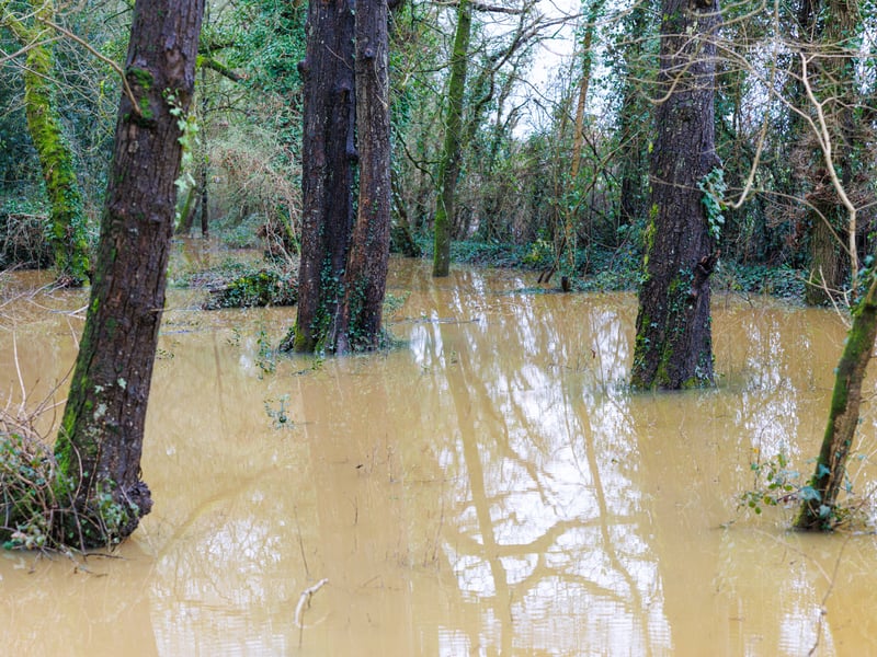 Consistent heavy downpours have left many areas of Hampshire flooded.