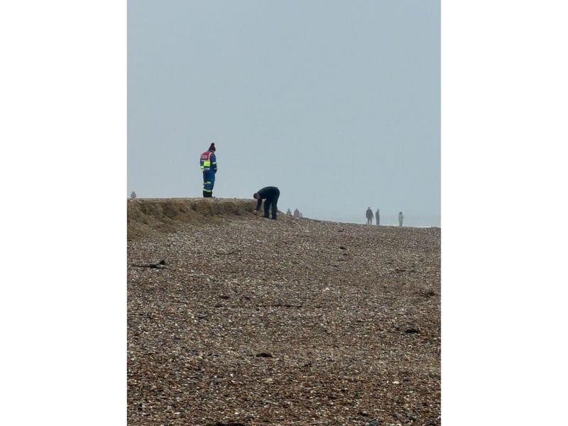Specialist ordnance disposal team assess the situation.