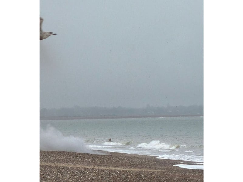 A controlled explosion has taken place after a suspected unexploded ordnance was found on Southsea beach on Sunday, February 8.
