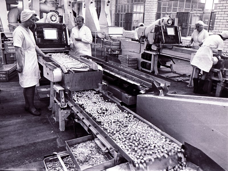 Liquorice Allsorts roll off the conveyor belt at the Bassetts factory in Hillsborough, Sheffield, ready for sorting, in February 1972