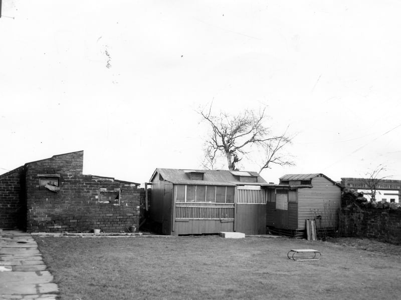 Pigeon loft in the garden of number 17 Nutting Grove Terrace. Pictured in March 1965.