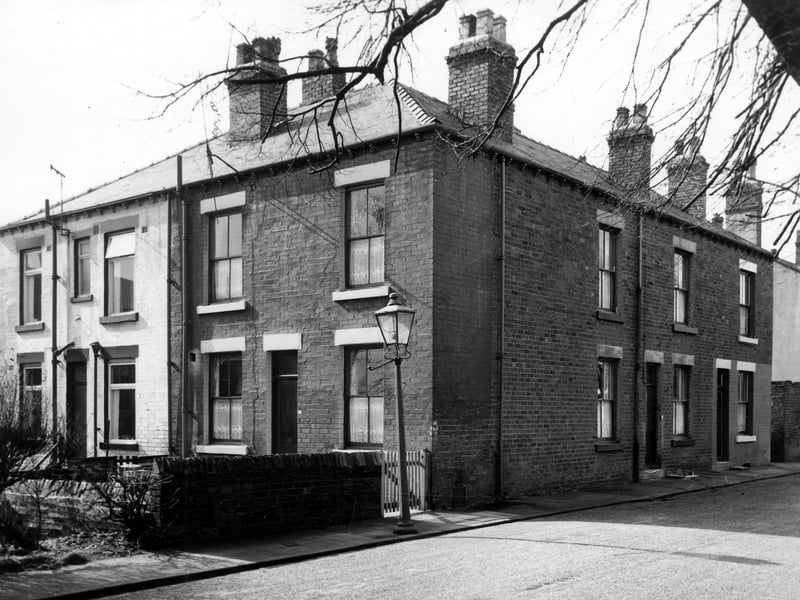 Back-to-back properties on Pontefract Terrace, 33 is on the left edge painted white. Number 34 Nutting Grove Terrace is next door, both houses have front doors and gardens at right angles to the rest of the row. Numbers 32 and 30 Nutting Grove Terrace follow to the right. Included in slum clearance plans for the Cross Lane area. Pictured in March 1965.
