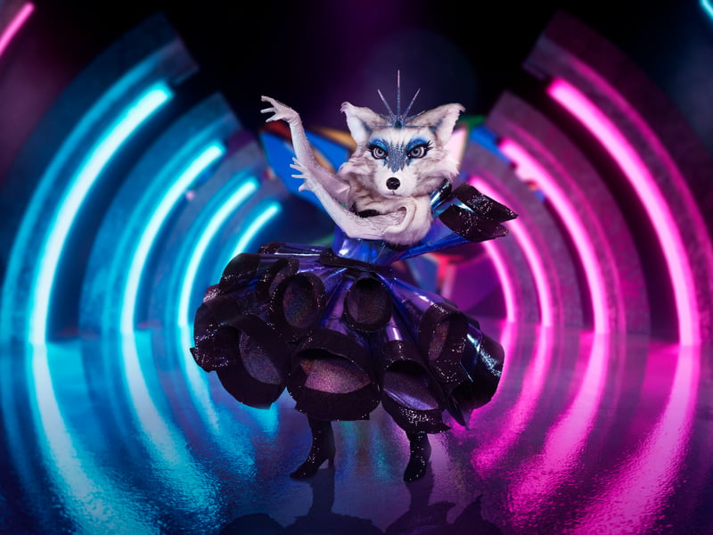 Arctic Fox made it more than halfway through the competition but was eliminated in a double exit in episode 5. Strictly judge Anton Du Beke was revealed to be under the mask!