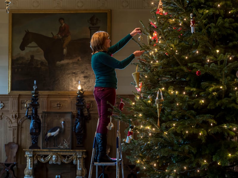December 2016 and Temple Newsam was preparing for their spectacular weekend celebration of 500 years of Christmas by decorating their 18ft Christmas tree in readiness for the event. Pictured is assistant community curator Helen Pratt hard at work.