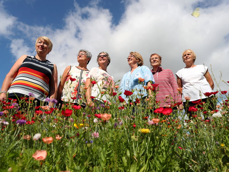 Final touches being made to Kippax's entry in Britain in Bloom in August 2016. The village was chosen to represent Yorkshire after winning the regional contest. Pictured, from left, are Pat Samy, Ann Bratley, Sue Whitfield, Diane Ion, Joan Walker and Virginia Irwin.